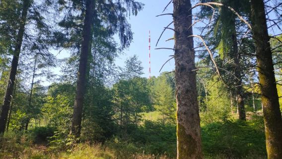 Monts de Guéret: Escursione guidata alla cima del Maupuy