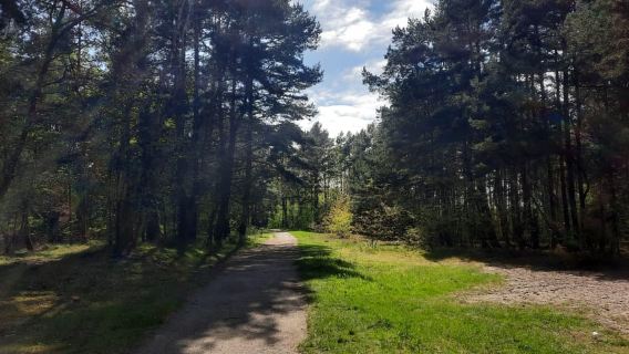 Erkunden Sie die Insel Sobieszewo: Naturspaziergang und Wildtiertour