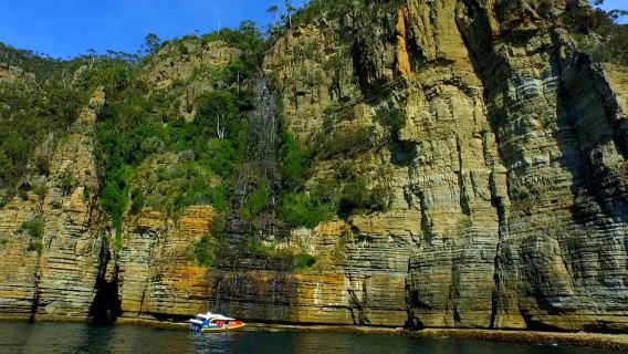 Escursione di un giorno nella penisola di Tasman con crociera e Devils da Hobart