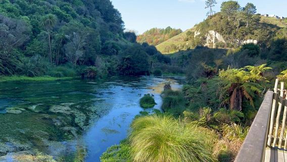 Ex Auckland: TE PUIA Geothermal, Redwood & Blue Springs