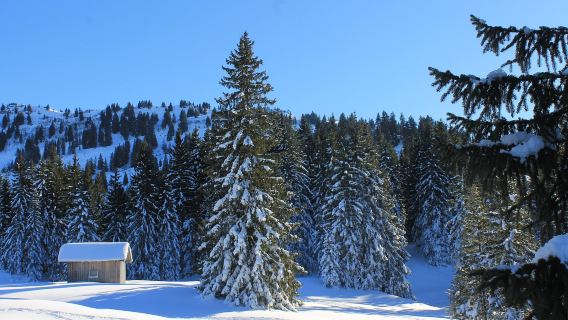 挪威特羅姆瑟-來回塞尼亞島一日遊-中文【多/日遊全境定制】