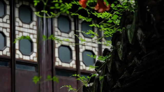 【精品小團/私享私人導覽】蘇州拙政園2小時人員導覽+高清耳麥---品味江南園林之美