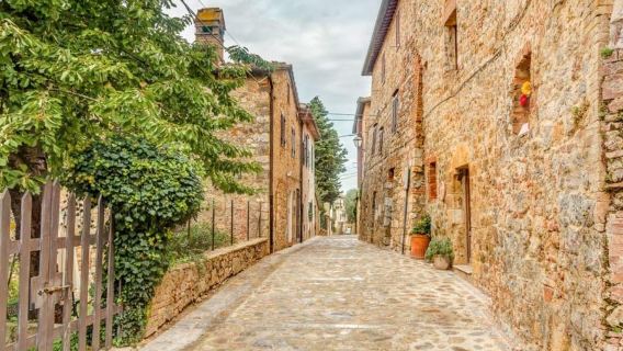 Tour del Chianti Brunch: pranzo e degustazione di vini per piccoli gruppi