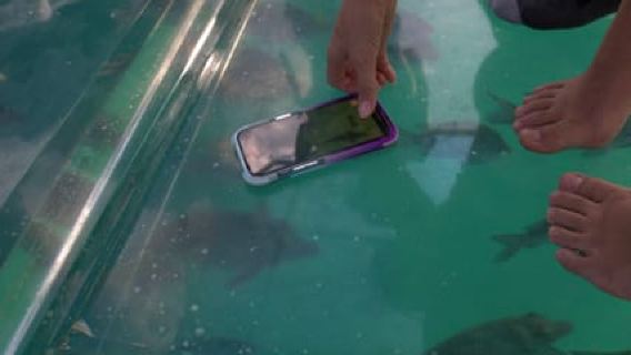 Discover Cabo San Lucas Clear Boat Glass Factory & Tequila