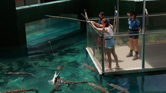 Darwin: VIP Crocosaurus Cove Experience
