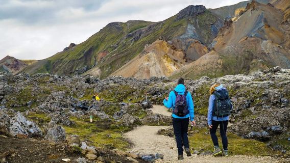 레이캬비크에서 출발: Landmannalaugar Day Hike