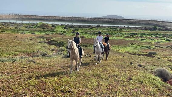 1 hour relaxing horse riding tour in Gran Canaria