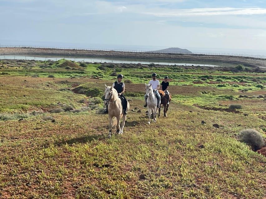 1 hour relaxing horse riding tour in Gran Canaria