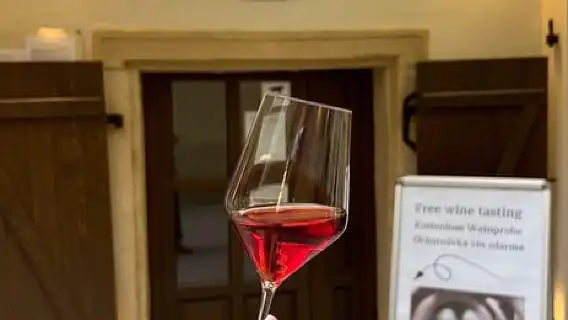 Bratislava: Wine Tasting Experience in the Dark