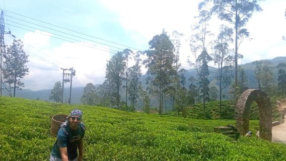 Nuwara Eliya: Tea Factory and Pickle Waterfalls Tuk Tuk Tour