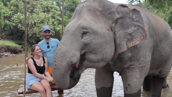 Chiang Mai: Elephant Sanctuary, Waterfall & Bamboo Rafting
