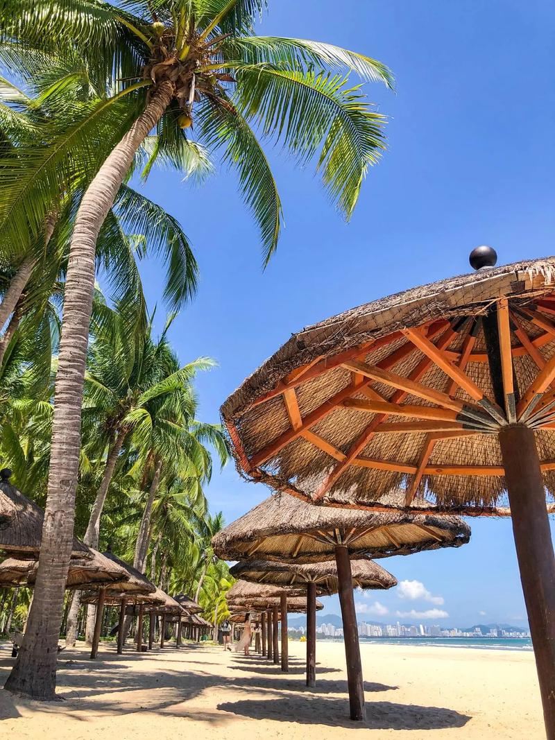 Глубокое погружение в культуру и природу западной части Санья, Хайнань, Китай [индивидуальный трансфер]