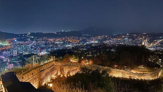 Seoul Night Tour: Gwangjang Market& Naksan Park& Hidden Jems