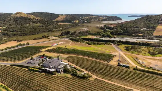 เกาะไวเฮเกะ: ทัวร์ไวน์ยามบ่ายพร้อมอาหารกลางวันริมทะเล