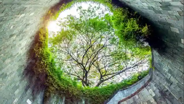 新加坡文化1日遊:博物館/美術館/彩色巷,解鎖城市人文密碼