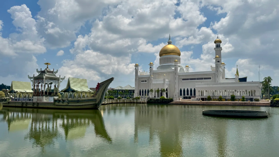 Carta di sbarco elettronica per l'ingresso in Brunei, compilazione della dichiarazione doganale e codice QR per la registrazione all'arrivo