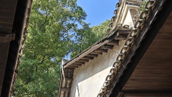 Tagesausflug zum Geopark Meijiang, der Meishan-Drachenhöhle und den Reisterrassen von Zique in Loudi, Hunan mit englischsprachigem Service