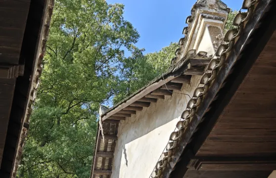 湖南婁底湄江國家地質公園+梅山龍宮+紫鵲梯田一日遊中英文服務