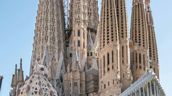 Sagrada Familia: Visita guiada + Acceso a la Torre