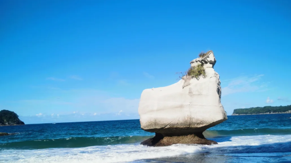 Lawatan sehari ke Cathedral Cove/Hot Water Beach dari Auckland, New Zealand