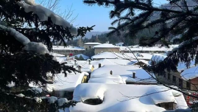 亞布力滑雪旅遊度假區西站 雪鄉共乘遊【經典小團·純玩·專車】