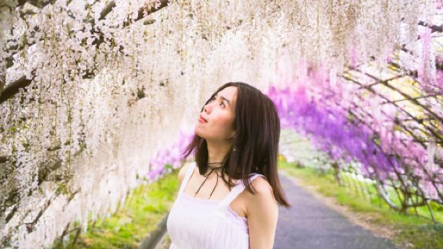 Kawachi Wisteria Garden & Mojiko Retro Style & Kitakyushu Outlet Shopping [Departing from Fukuoka]