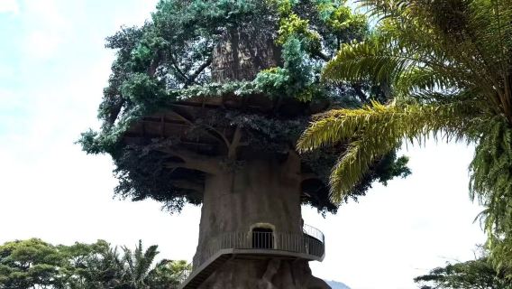 雅加達： 茂物野生動物園+茂物植物園一日遊【親子包車-中文】