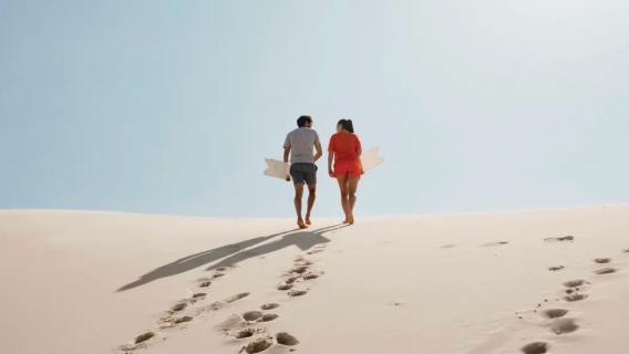 ทัวร์ชมโลมา/วาฬที่พอร์ตสตีเฟนส์ ซิดนีย์ + เล่นทราย (มีตัวเลือกอาหารกลางวัน)