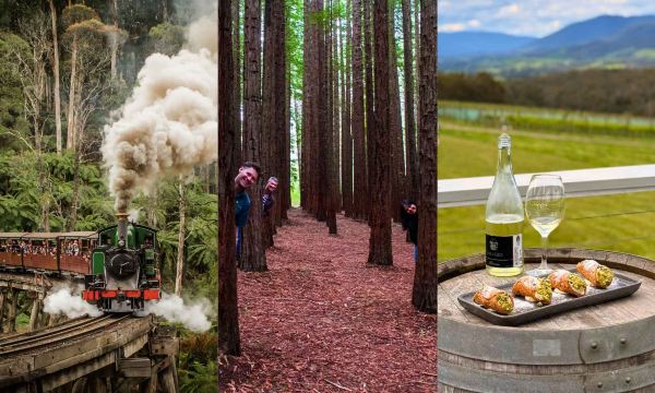 オーストラリア・メルボルン パフィング・ビリー鉄道＋レッドウッドの