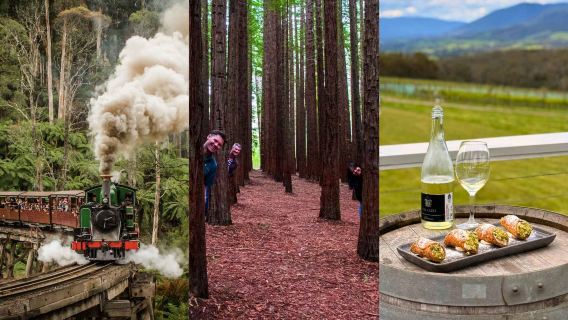 Melbourne Puffing Billy Train + Redwood Forest + Yarra Valley Winery English Day Tour in Australia