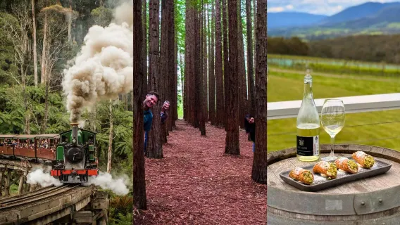 Passeio de um dia em inglês em Melbourne, Austrália: Trem Puffing Billy + Floresta de Sequoias + Vinícolas do Vale Yarra
