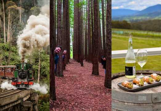 Melbourne Puffing Billy Train + Redwood Forest + Yarra Valley Winery English Day Tour in Australia AUD 187.08