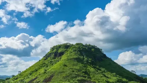 海口精品私人一日遊：火山群地質公園～海南博物館～騎樓老街