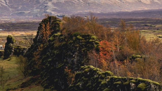 Iceland Reykjavik pergi-balik: Lawatan Sehari Golden Circle Litar Besar | Sewaan Peribadi Bahasa Cina | Perjalanan Boleh Disesuaikan