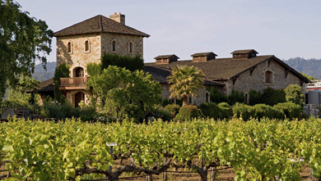 Tour di gruppo di un giorno con andata e ritorno da San Francisco: Degustazione di vini nella Napa Valley e Sonoma