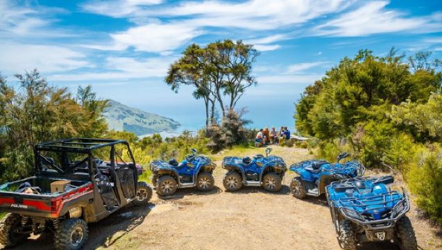 Quad Bike - Sirkuit Bayview