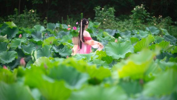 龍勝Trip Moments【上門跟拍攝影親子家庭情侶照片短影片宣傳片寫真婚紗底片全送翻譯】