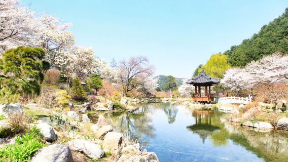 ทัวร์ส่วนตัวเกาะนามิ+ชุนชอนเกาหลี [12 ชั่วโมง - เลือกเที่ยวได้ 2-4 สถานที่]