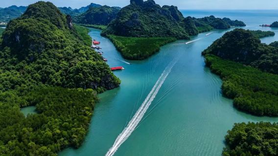 Langkawi mangrove eco-tour (explore ecological wonders + hassle-free boat sharing + in-depth mangrove experience)