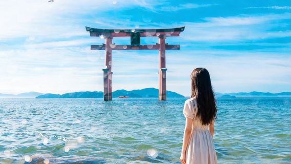 1-day tour to Lake Biwa, Bei Lvming art journey, visit Shirahige Shrine's floating torii gate · pure play group