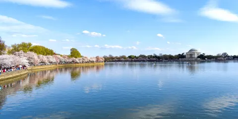 美國華盛頓白宮-華盛頓紀念碑-美國國會大廈-潮汐湖-包車-漫遊
