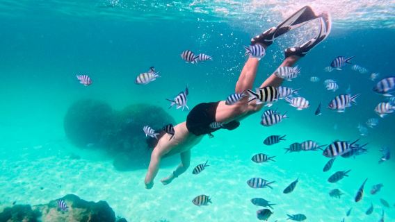 [Phu Quoc] Excursion en bateau rapide sur 3 îles | Plongée avec masque et tuba sur 2 récifs coralliens & île de May Rut Trong