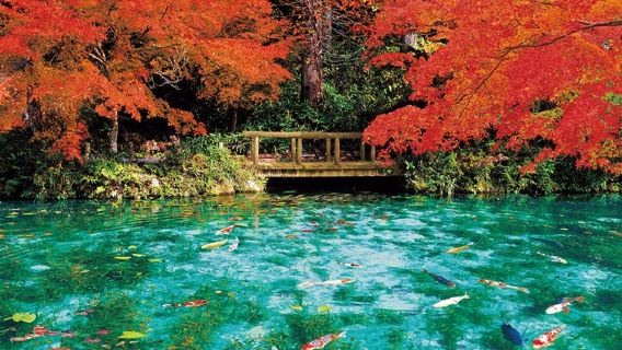 名古屋出發｜莫內池塘-美濃老街-田縣神社-間間觀音寺