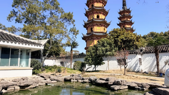 Suzhou Shuangta Market + Shuangta + Suzhou Dinghui Temple + rickshaw experience + Pingjiang Road half-day tour