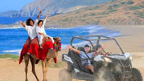 Cactus Tours: 2 Activities COMBO
