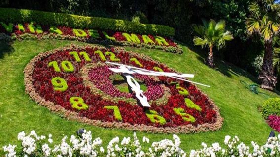 Valparaiso and Viña del Mar - Full-Day Tour with Lunch