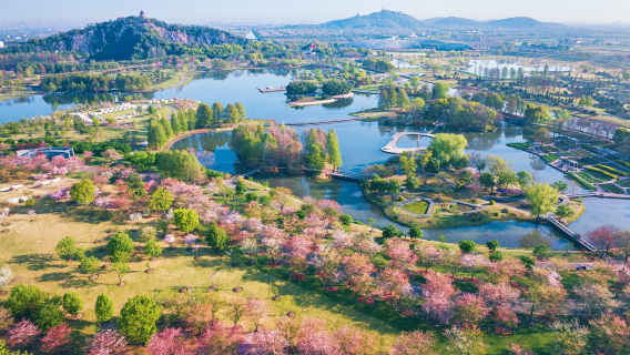 Berlepas dari Shanghai: Lawatan sehari sewa peribadi ke Tapak Budaya Guangfulin + Taman Botani Gunung Chen