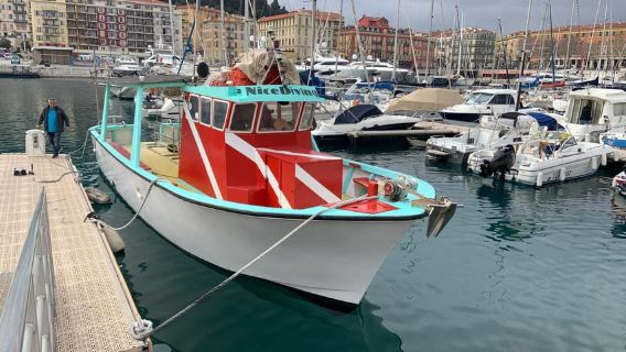 Ницца: VIP-экскурсия по морю со снорклингом и дайвингом для начинающих