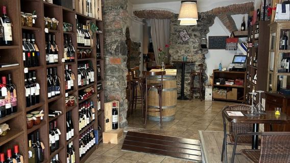 Wine Tasting with Food Pairing at Lake Como