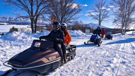 Late departure Hokkaido illumination 1-day tour · Ningle Terrace & Shirogane Blue Pond (Aoiike) & Shirahige | Snowmobile experience available
